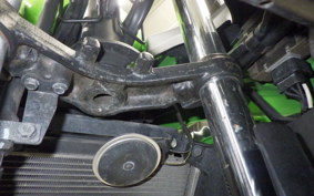 KAWASAKI NINJA 250 2006 EX250L