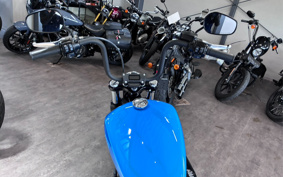 HARLEY FXBBS 2022 YYK