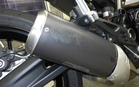 DUCATI SCRAMBLER ICON 2024