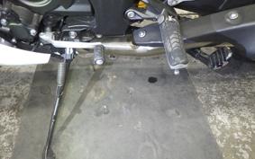 KAWASAKI ZX 1400 NINJA R A 2019