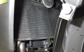 KAWASAKI NINJA 250 SL