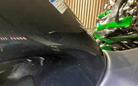 KAWASAKI NINJA 1000SX 2024 ZXT02K