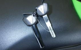 KAWASAKI ZX-4RR 2023 ZX400P