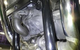 TRIUMPH BONNEVILLE T120 2022