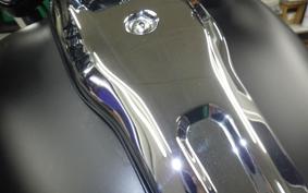 HARLEY FXBR1920 2023