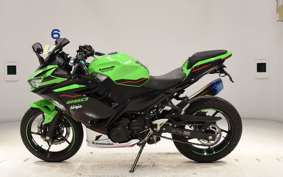 KAWASAKI NINJA 250 EX250P