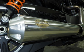 HARLEY XL1200NS 2019