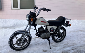 SUZUKI MAMETAN OR502