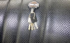 HARLEY XL883RI 2007