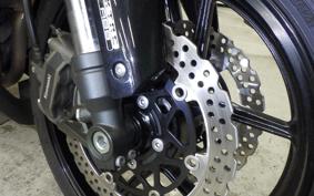 KAWASAKI NINJA 1000 2019 ZXT00W