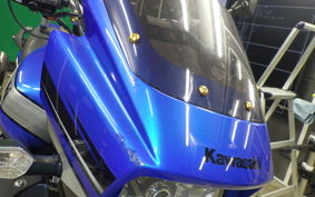 KAWASAKI ZRX1200 D 2010 ZRT20D