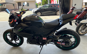 KAWASAKI Z250 ER250C
