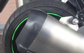 KAWASAKI NINJA ZX-6R 2010 ZX4R18