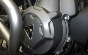 TRIUMPH TIGER 900 GT PRO 2020