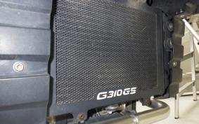 BMW G310GS 2019