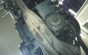 HONDA HORNET 250 MC31