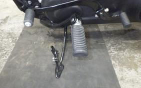 HARLEY FXLRST1920 2024