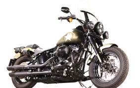 HARLEY FLSS 2016 JS9