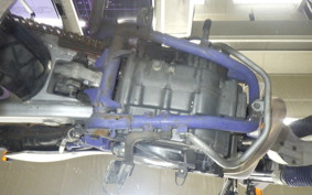 YAMAHA TT250R 4GY