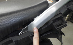 SUZUKI Vｽﾄﾛｰﾑ250 2024