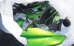 KAWASAKI NINJA 1000 2013