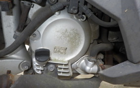 HONDA FAZE 2023 MF11