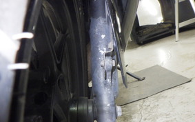 KAWASAKI NINJA 250R 2021 EX250K