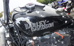 HARLEY L1200LI 2010