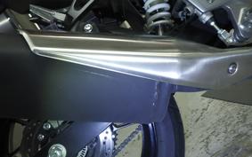 SUZUKI GSX250RA