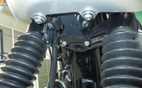 KAWASAKI W800 CAFE 2020 EJ800B