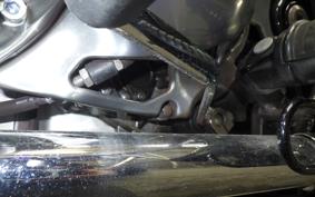 KAWASAKI W800 2019 EJ800B