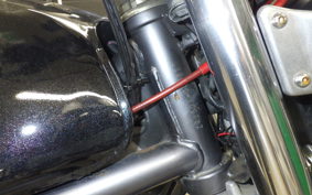 KAWASAKI BALIUS 250 2021 ZR250A