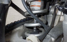 KAWASAKI KLX250D TRACKER X 2021 LX250V