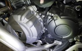 TRIUMPH TIGER 1200 RALLY EX 2023