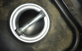 HONDA DIO 110 JF31