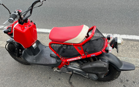 HONDA ZUMAR AF58
