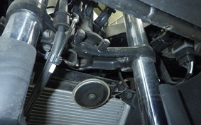 KAWASAKI NINJA 250 ABS 2020 EX250L
