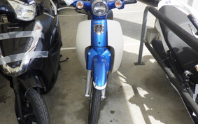 HONDA C110 SUPER CUB JA44