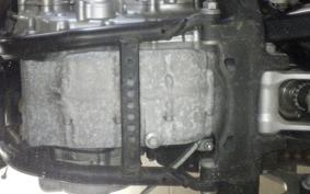 YAMAHA WR250X 2020 DG15J
