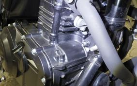 SUZUKI Vｽﾄﾛｰﾑ250A 2009