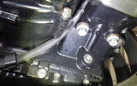 KAWASAKI Z900RS CAFE 2019