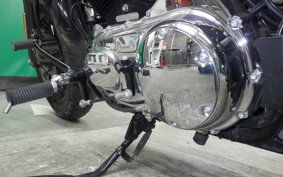 HARLEY XL1200XS 2019