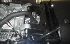 YAMAHA CYGNUSｸﾞﾘﾌｧｽ 2015 SEJ4J