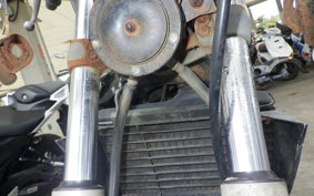 YAMAHA RZ250RR 29L