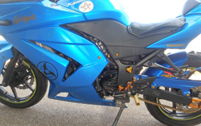 KAWASAKI NINJA 250R EX250K