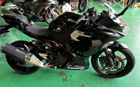 KAWASAKI NINJA 400 2018 EX400G