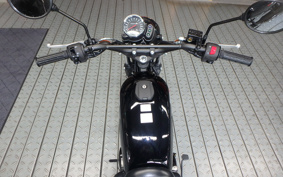KAWASAKI W175 TR BJ175C
