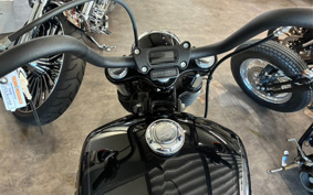 HARLEY FXBB 2020 YJJ