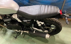 TRIUMPH SPEED TWIN 900 DP0G27