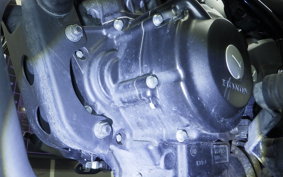 HONDA REBEL 250 2021 MC49